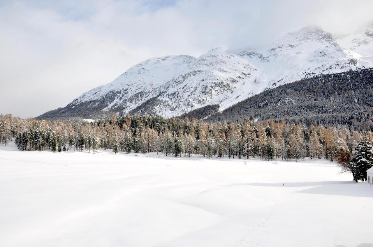Cosy Apartment Facing Piz Rosatsch St. Moritz Bagian luar foto